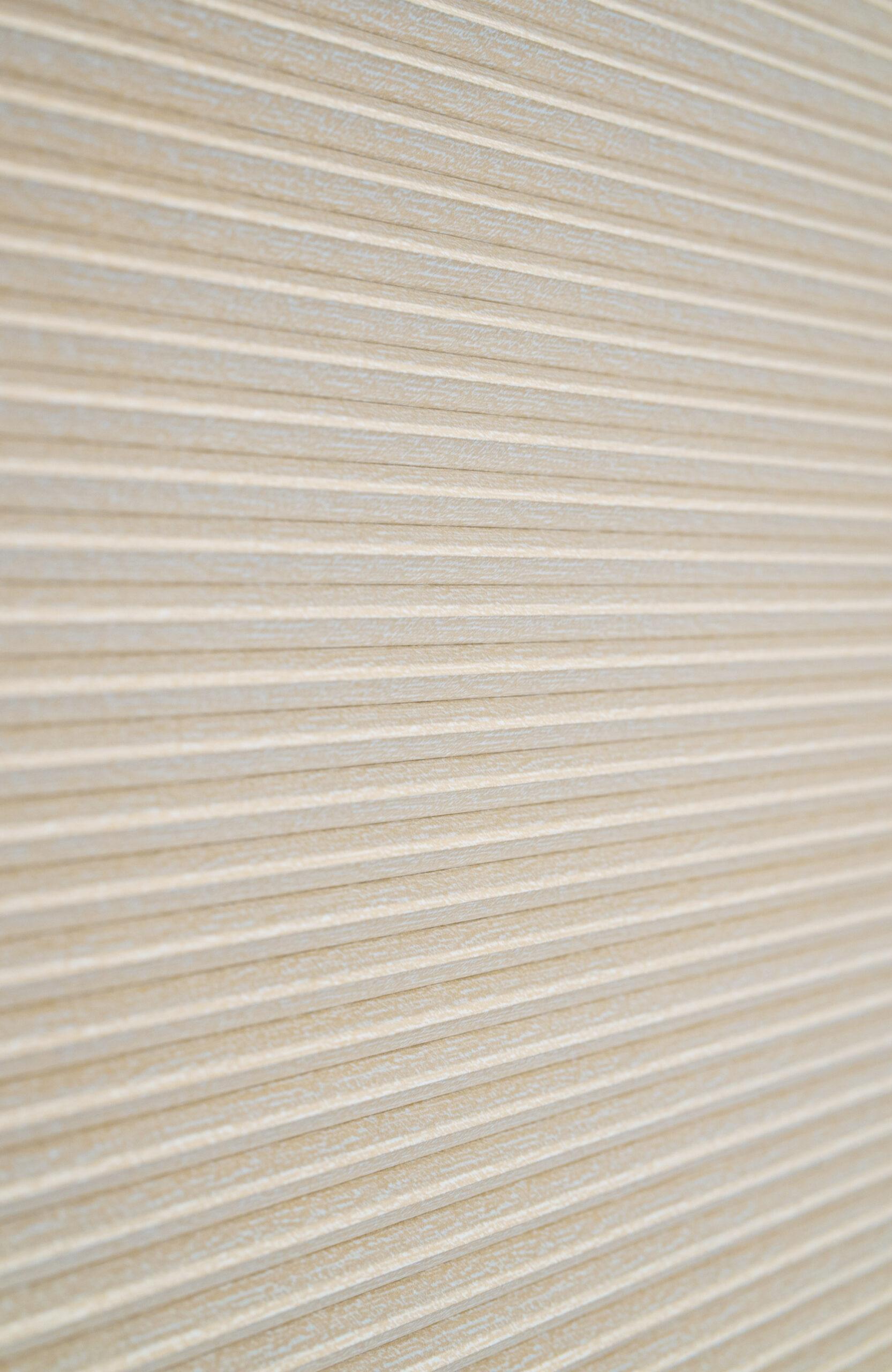 Cellular blinds Belfast